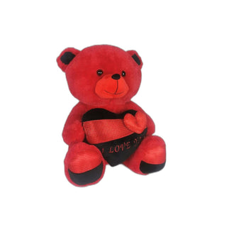 Valentine Teddy Bear